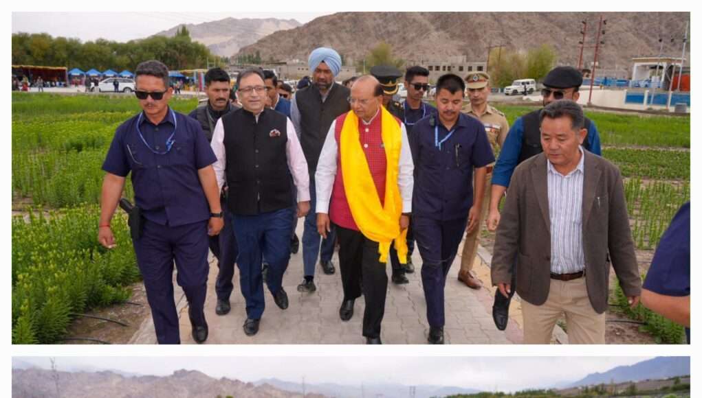 Ladakh takes major leap in floriculture with World’s highest-altitude flower fields at Leh Ladakh takes major leap in floriculture with World’s highest-altitude flower fields at Leh