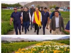 Ladakh takes major leap in floriculture with World’s highest-altitude flower fields at Leh