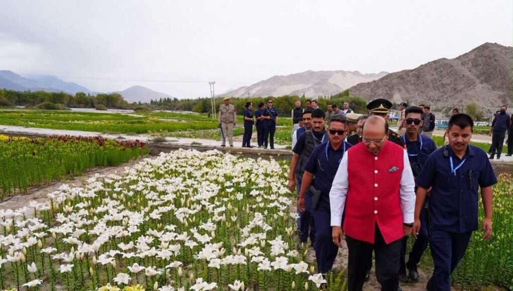 Ladakh unveils world’s highest flower fields in Leh, over 25 lakh blooms to drive rural incomes