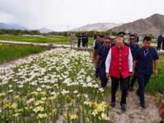 Ladakh unveils world’s highest flower fields in Leh, over 25 lakh blooms to drive rural incomes