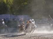 Indus Polo Club triumphs 5–2 in Ladakh Festival horse polo exhibition