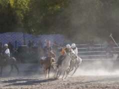 Indus Polo Club triumphs 5–2 in Ladakh Festival horse polo exhibition
