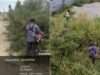 Ganderbal Police, Excise Deptt destroy wild cannabis in joint anti-drug drive