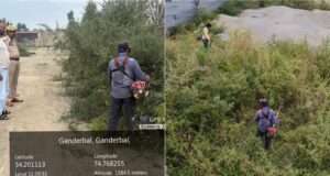 Ganderbal Police, Excise Deptt destroy wild cannabis in joint anti-drug drive