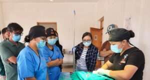 Leh Animal Husbandry Deptt trains Vets in advanced surgical skills, 37 stray dogs sterilised