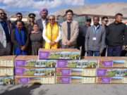 LG Saxena flags off Ladakh’s first commercial Lilium consignment to national markets