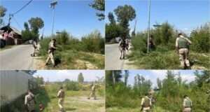 Safapora Police, Excise Deptt launch joint drive, destroy wild cannabis