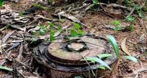 Three landmines detected, defused in Poonch’s forward areas