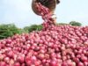 Govt sells 4,000 tonnes of buffer onions across 17 cities in 10 days to cool prices