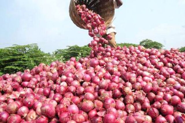 Govt sells 4,000 tonnes of buffer onions across 17 cities in 10 days to cool prices