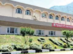 SKUAST-K study links ‘Hen and Chicken’ disorder in Sahebi grape to poor pollination