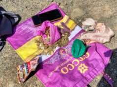 Three held with 658 gold-coloured copper pieces near Vessu