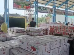 ‘J&K’s horticulture sector supports livelihoods of nearly 35 lakh people’