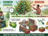 Apple traders warn farmers against premature harvesting as market supply rises