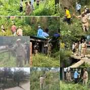 Shopian Police launches major drive to destroy wild cannabis in five areas
