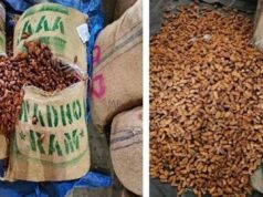 DRI busts Pakistan-origin imports, seizes over 362 MT dry dates in Nashik