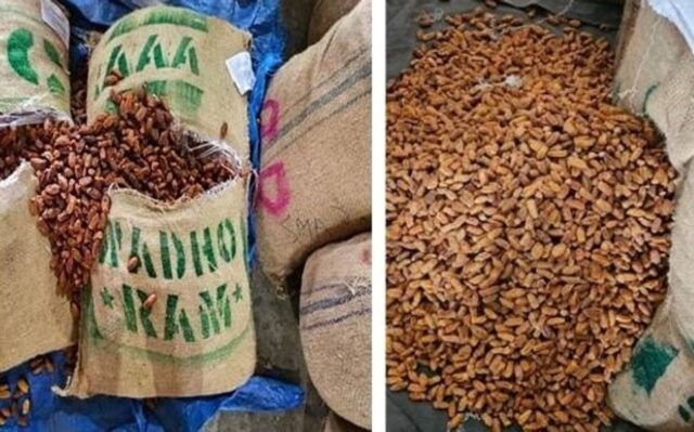 DRI busts Pakistan-origin imports, seizes over 362 MT dry dates in Nashik
