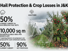 No 90% hail-net subsidy proposal in J&K; crop insurance scheme still pending