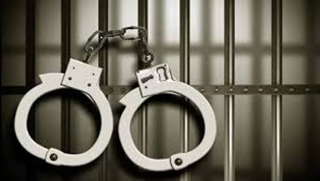 Police apprehend 9 drug peddlers in separate operations across Kashmir