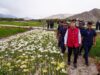 LG Ladakh dedicates world’s highest twin flower-fields to people on PM Modi’s birthday