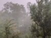 Hailstorm damages apple crop in Shopian, Anantnag