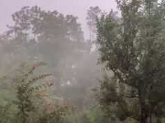 Hailstorm damages apple crop in Shopian, Anantnag