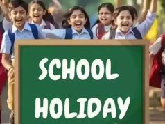 School holiday tomorrow: Are schools closed on October 29 for Karwa Chauth in Delhi, Punjab, Rajasthan and UP?