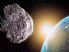The asteroid wiped out dinosaurs 66 million years ago; now scientists say ‘jumping genes’ may have helped ants conquer the planet