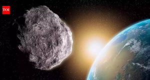 The asteroid wiped out dinosaurs 66 million years ago; now scientists say ‘jumping genes’ may have helped ants conquer the planet