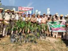 4 JKAP IR Bn marks National Unity Day with plantation drive in Kupwara