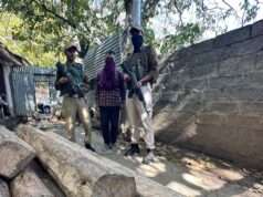 Bandipora Police bust illegal timber stocking in Sumlar, six kail wood logs seized, accused arrested