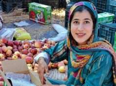Kashmir’s daughter breaks barriers; Mehvish Jan packs apple boxes, inspires women’s empowerment