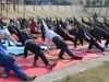 Handwara Police organises Yoga Session to promote fitness, mental well-being, discipline