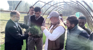 Director Agriculture Kashmir inaugurates sale of onion seedlings at Gangbugh for farming Community