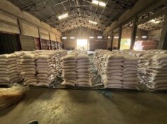 DRI busts illegal import of over 73,00,000 kg of Pakistan-origin rock salt; 4 arrested