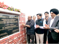 New Industrial Policy at final stage, will address ‘discrimination’ in NCSS: Dy CM