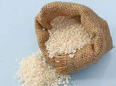 Kashmir’s aromatic Rice, Mushk Budji showcased during Bharat International Rice Conference