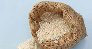 Kashmir’s aromatic Rice, Mushk Budji showcased during Bharat International Rice Conference