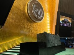 India rejects report by UN human rights expert that says Indian youth face retaliation, terms claims as 'hearsay'